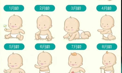 70天婴儿吃手吃的厉害-50天宝宝吃手是饿吗网-分享55天宝宝吃手怎么回事，五十六天的宝宝吃手知识库